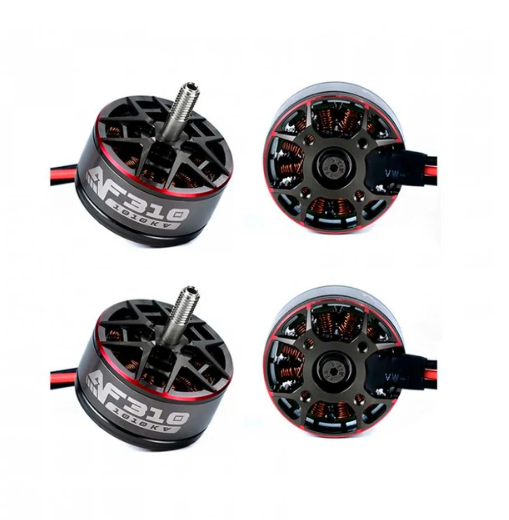 AXISFLYING AF310 3010 6S Brushless Motor