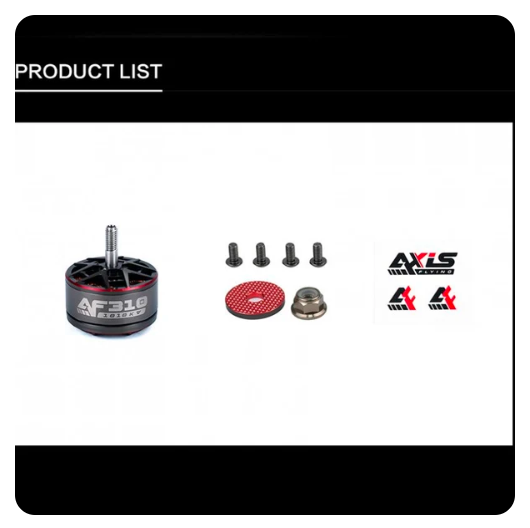 AXISFLYING AF310 3010 6S Brushless Motor